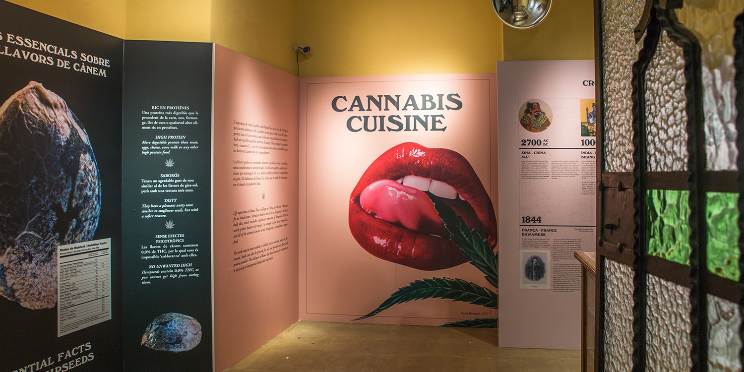 Produccion Vinilo Exposicion Cannabis Cuisine Hash Marihuana Hemp Museum Produccion